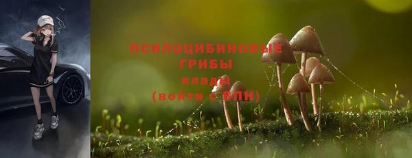гашик Абинск