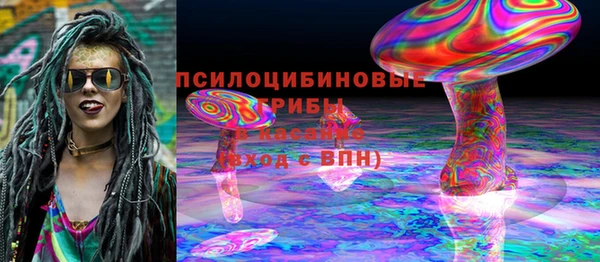 гашик Абинск