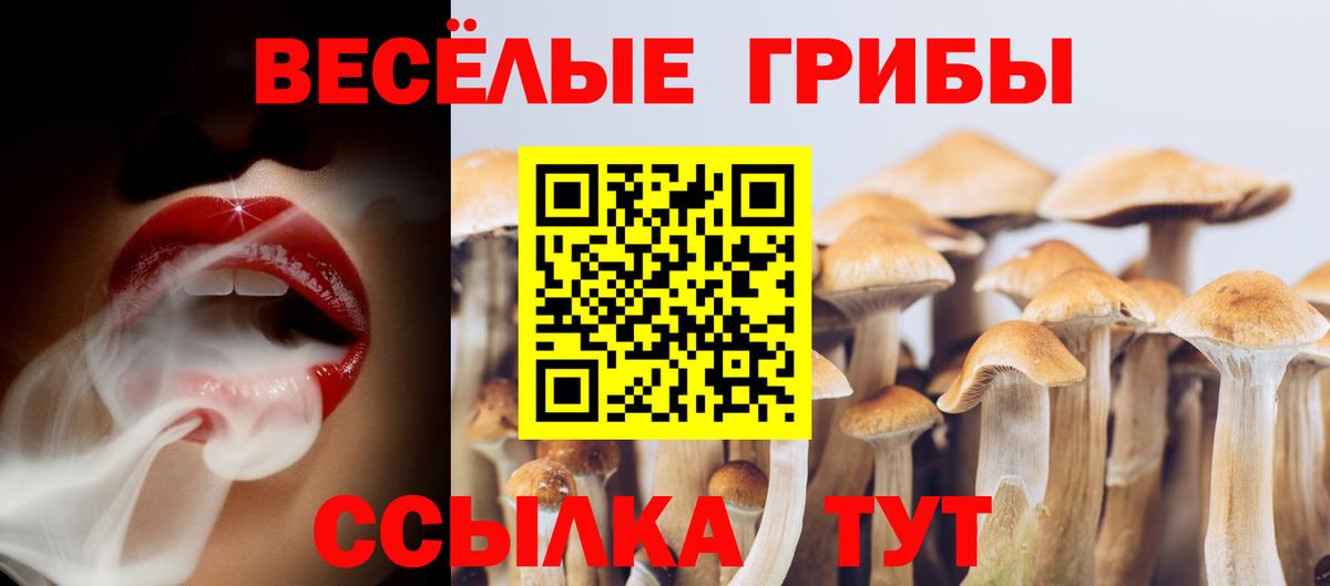 Советск  Галлюциногенные грибы мицелий  Вход с VPN 