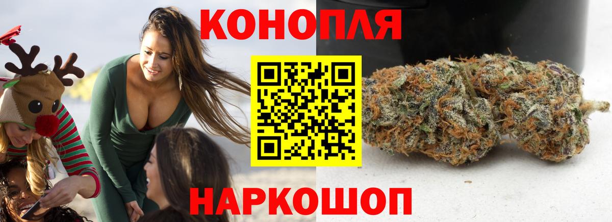 Марихуана план  Вход с VPN  Марихуана сатива  МАРИХУАНА SATIVA & INDICA  Советск 